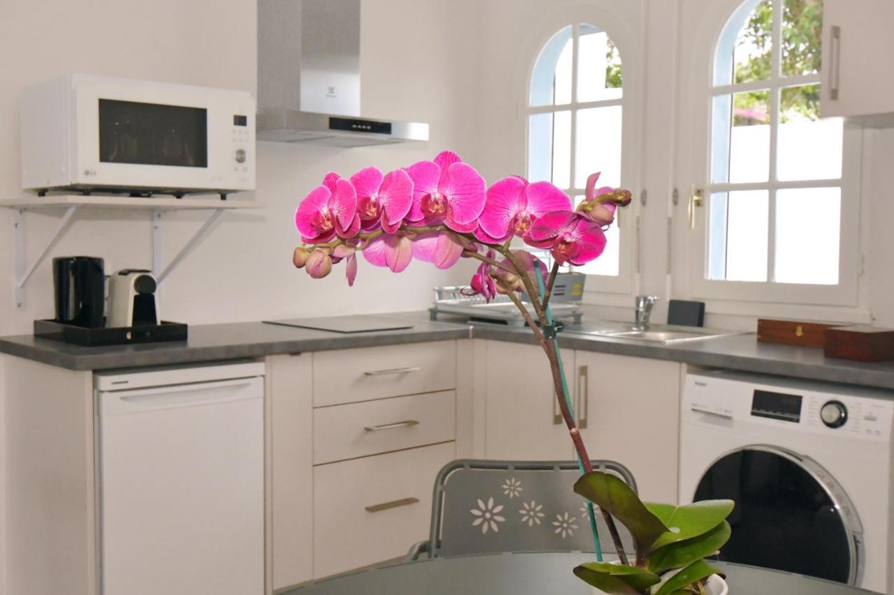 Bed and Breakfast Le Jacaranda Du Guillaume Le Guillaume Exterior foto
